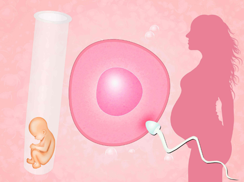 2023广州做借卵生子助孕需要多少钱？详细介绍供卵助孕生子成功案例